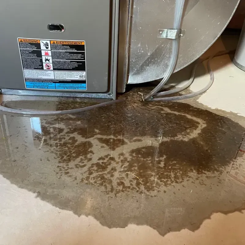 Appliance Leak Cleanup in Polo, IL